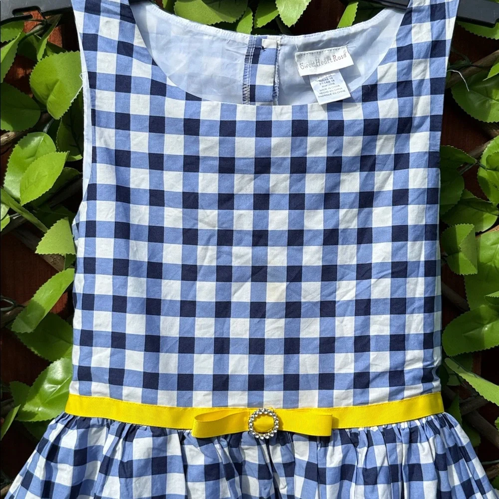 Sweet Heart Rose Blue Gingham Checkered Daisy Dress Size 16 Girls